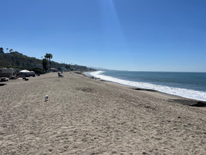 Doheny State Beach For A Night