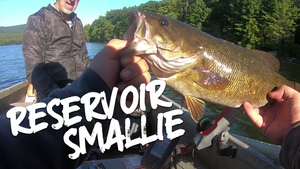 PB Smallmouth on the Rondout Reservoir in the Catskills